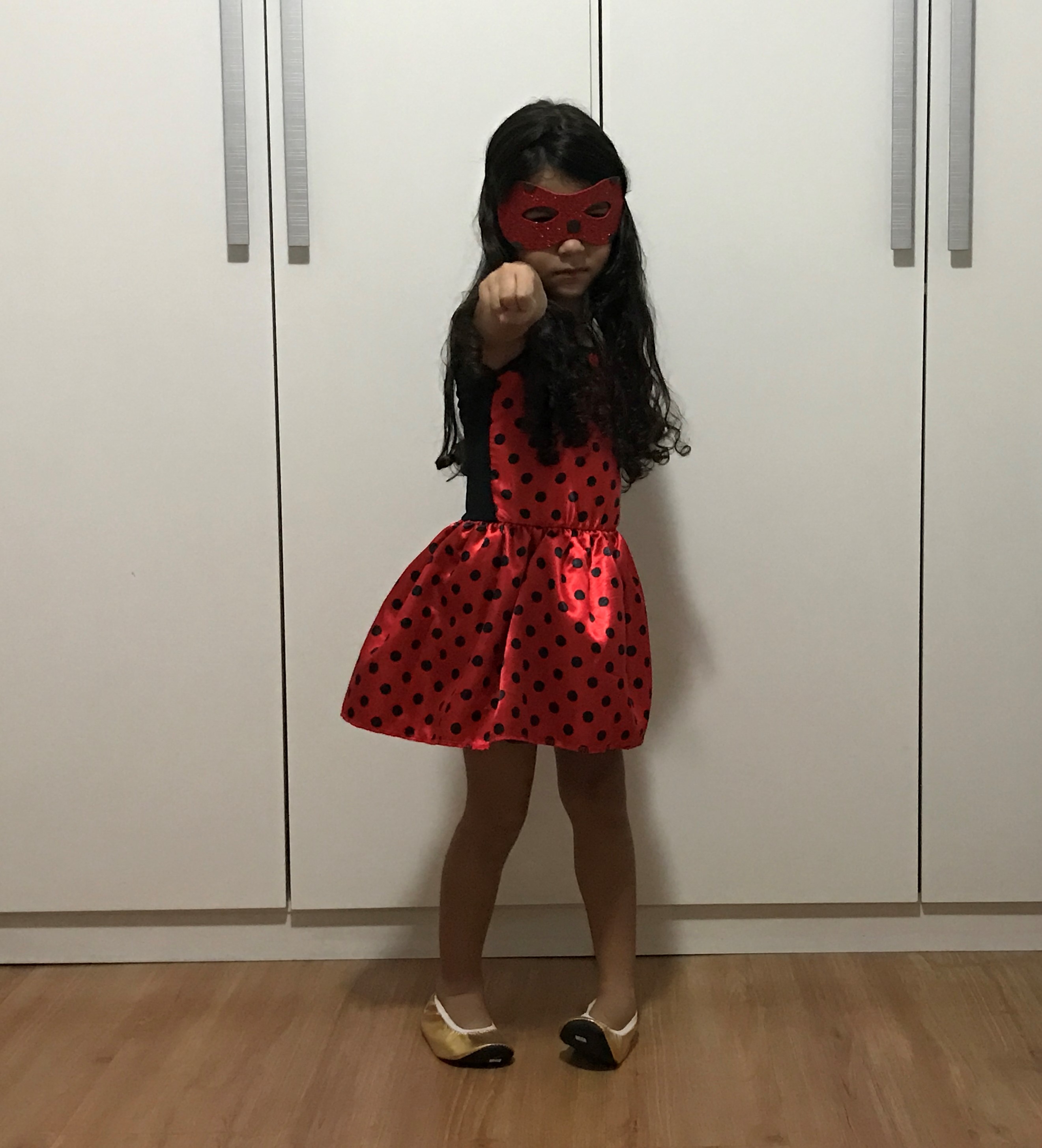 Fantasia de Ladybug