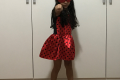 Fantasia de Ladybug